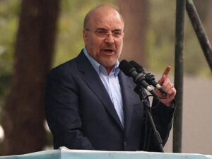 image-qalibaf665