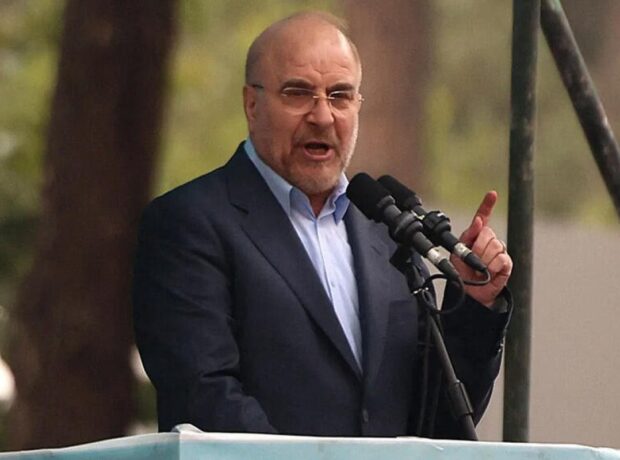 image-qalibaf665